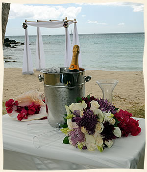 Tropical champagne toast wedding at Bluebeards Beach - St. Thomas