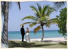 Palm tree tropical wedding St. Thomas