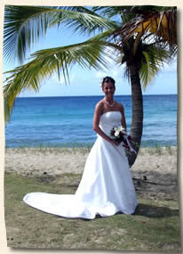 Weddings in the Virgin Islands - bride by palm tree