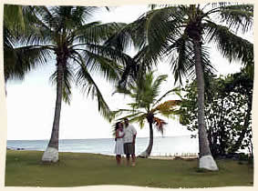 US Virgin Island Marriage under palm trees