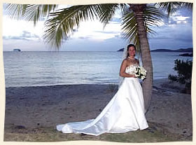 Virgin Island Wedding - gorgeous bride by palm tree