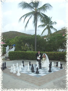 a game of chess?