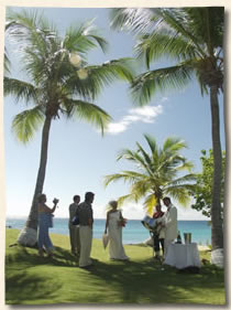 Virgin Islands Marriage - On the grassy area of Bluebeards Beach