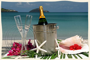 tropical champange setup for an island wedding