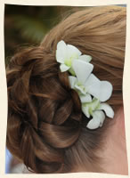 hair combe with flowers