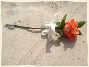 Single rose with ribbon for Virgin islands Wedding