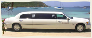 Gonzi Limo