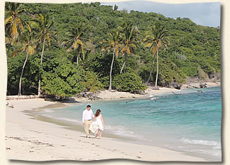private-tropical-island-wedding