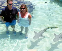 Married in shark tank - St. Thomas US Virgin Islands