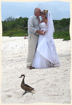 Wedding on Smith Bay / Lindquist Beach USVI