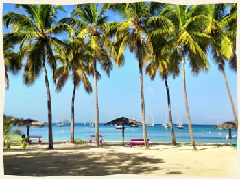 Honeymoon Beach on Water Island Weddings