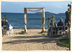 Gorgeous day for a picnic on Lindquist Beach