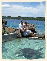 Married with the Turtles at Coral World St Thomas US Virgin Islands