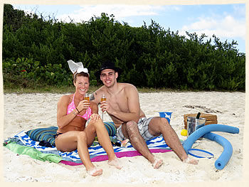 beach picnic wedding