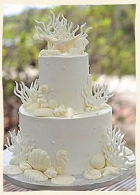 Whtite Sea Fan Fantasy Cake in St. Thomas