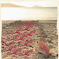 Conch aisle with flower petal aisle