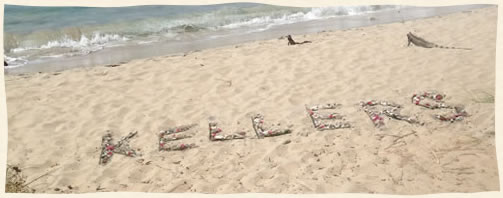 shell name in the sand on Bluebeards Beach  in the Virgin Islands