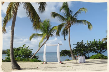 Sapphire Beach under the palms