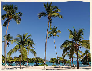 Caribbean Villa Wedding St. Thomas USVI